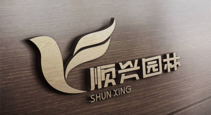环江VI设计公司：城市视觉形象的专业筑梦者